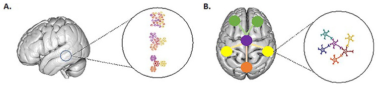 Box 3. Self-Organization