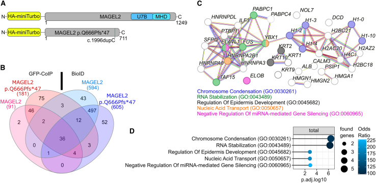 Figure 2