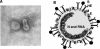 FIG. 1.