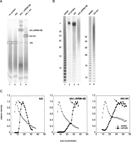 FIGURE 4.