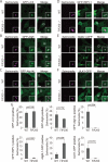 FIGURE 7: