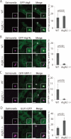 FIGURE 4: