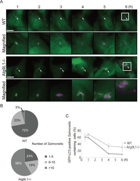 FIGURE 2: