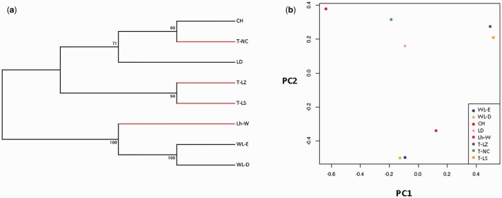 Fig. 2.—