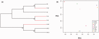 F<sc>ig</sc>. 2.—