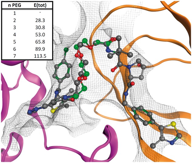 Fig. 3.