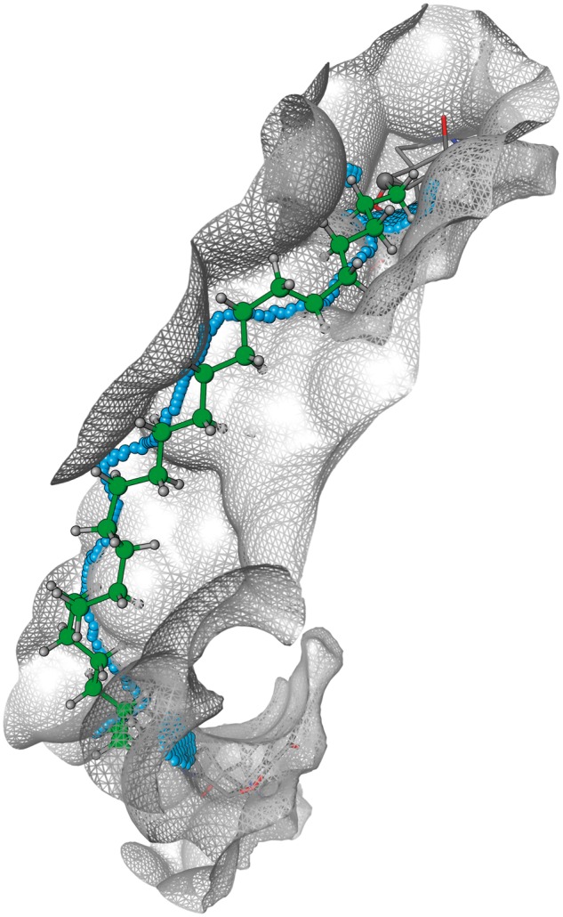 Fig. 2.