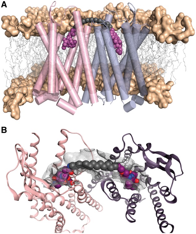 Fig. 4.