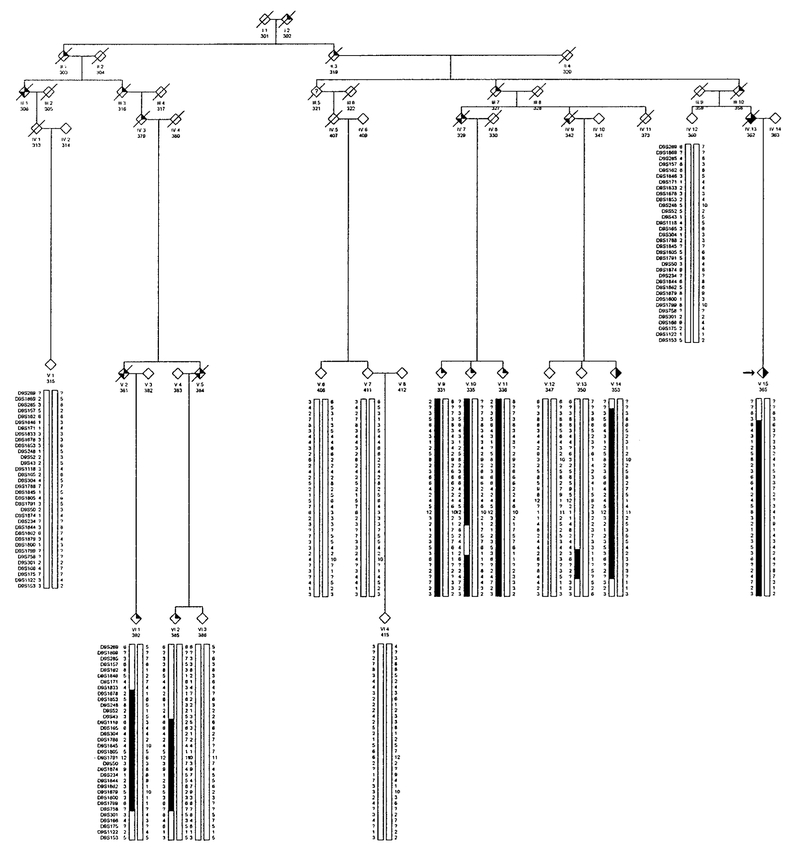 FIG. 2.