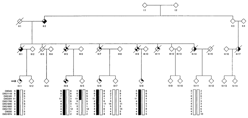 FIG. 4.