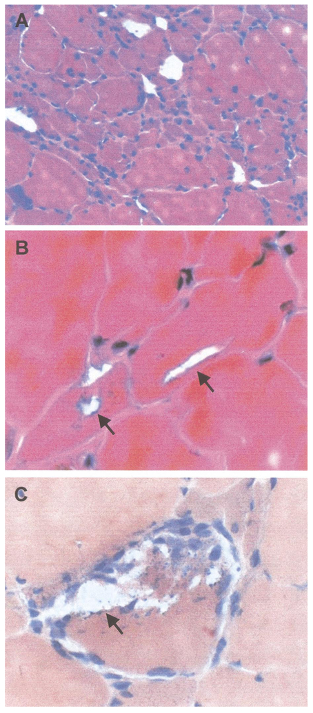 FIG. 6.