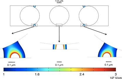 Fig. 9