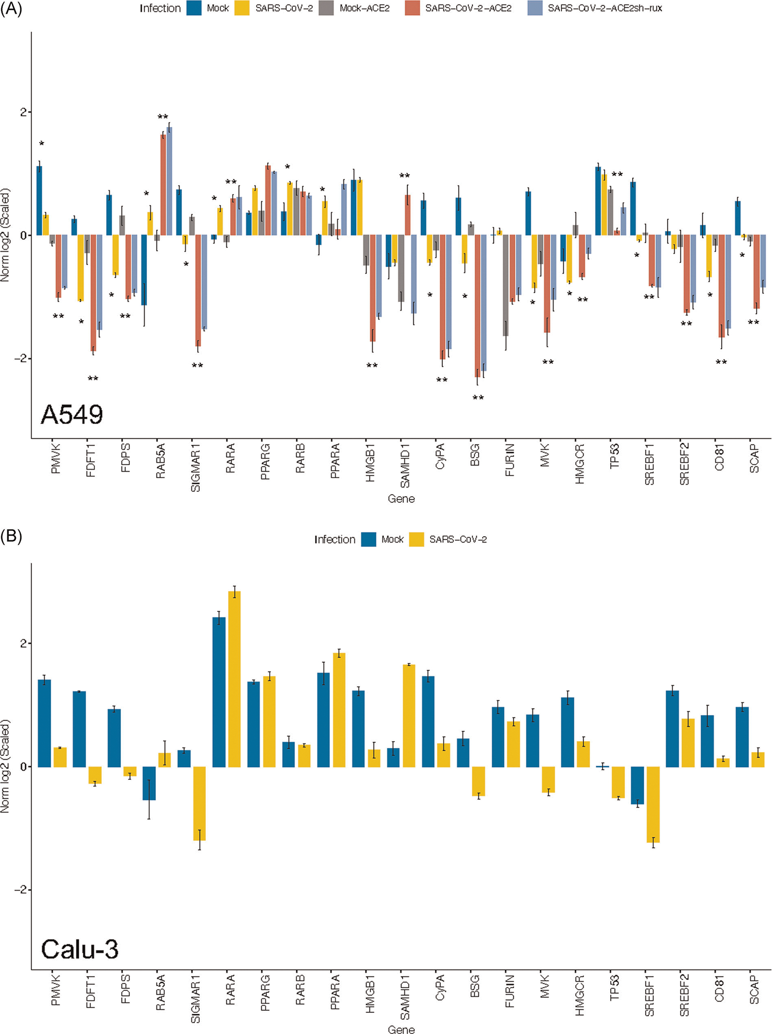 FIGURE 1