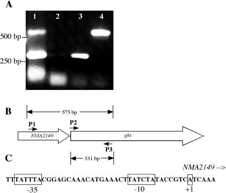 FIG. 5.