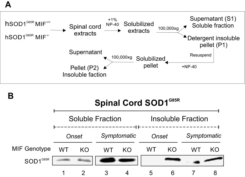 Fig. S4.