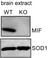 Fig. S1.