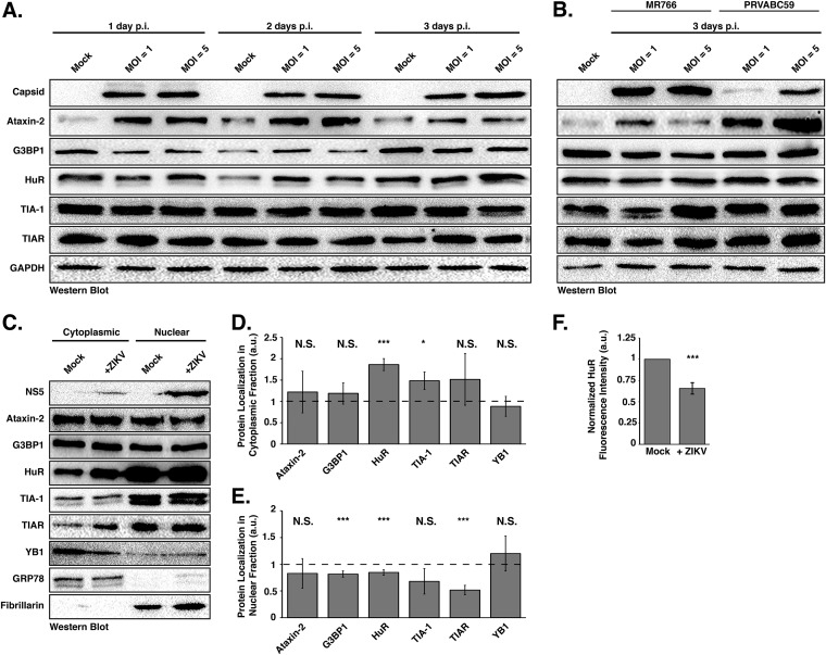 FIG 2