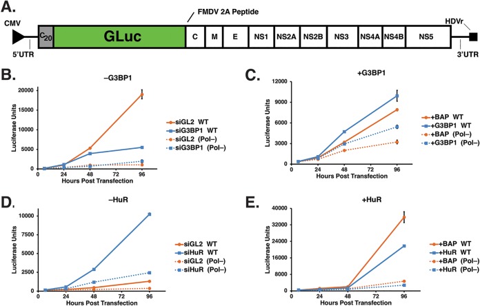 FIG 4