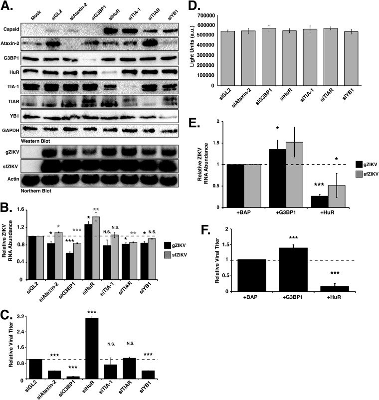 FIG 3