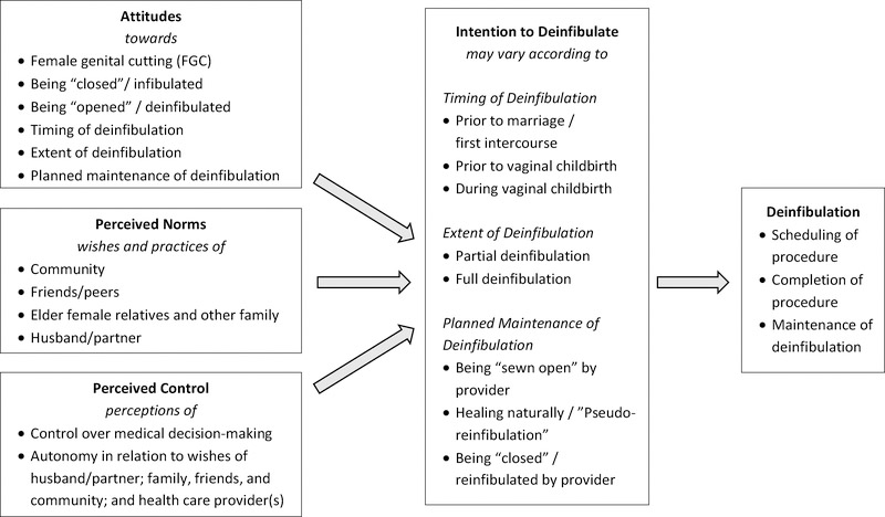 Female Genital Cutting and Deinfibulation: Applying the Theory of ...