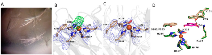 Figure 6