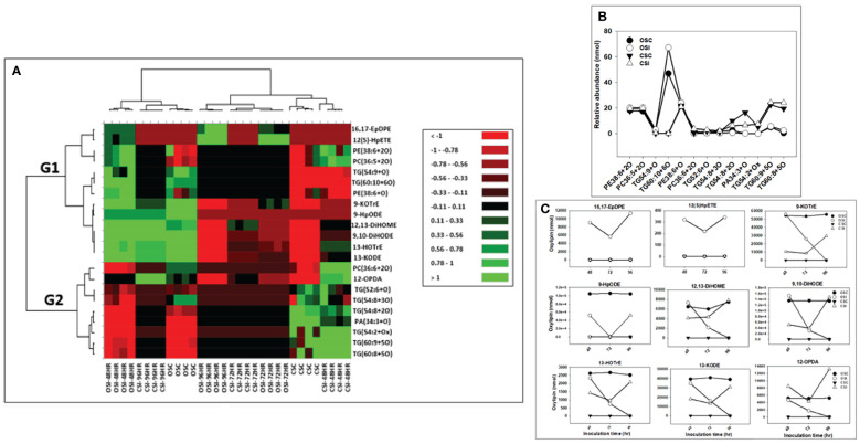 Figure 6