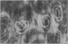 153