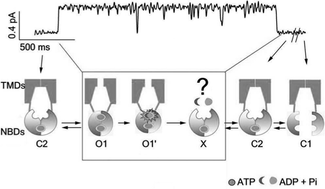 Fig. (2)