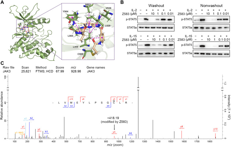 Fig. 2.