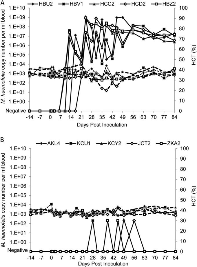 FIG 1