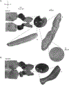 Figure 4: