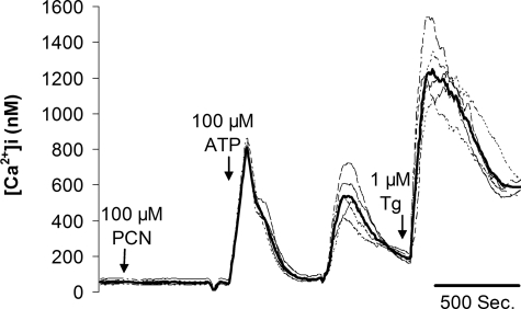 FIGURE 7.