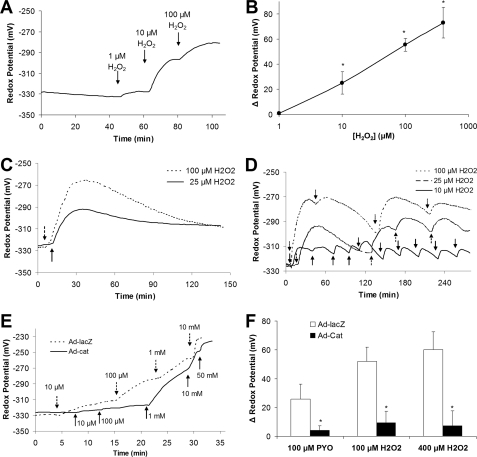 FIGURE 4.