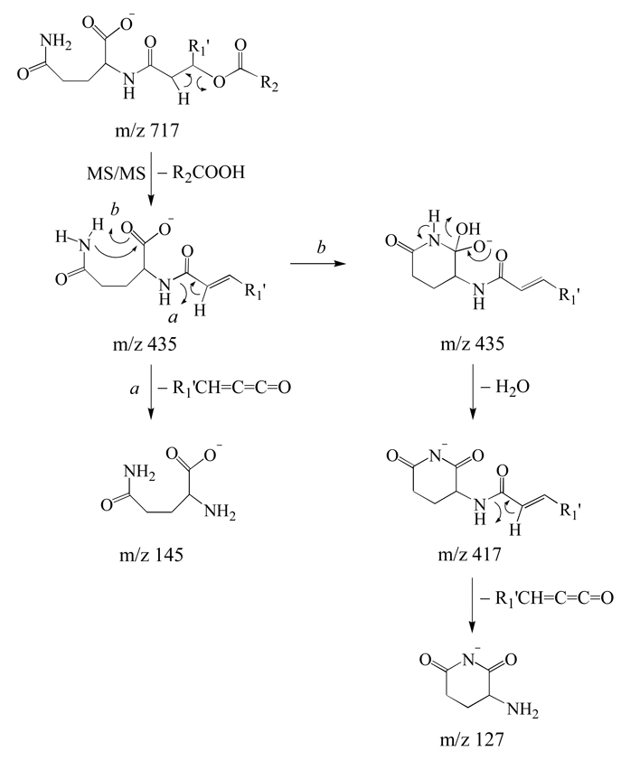 Scheme 5