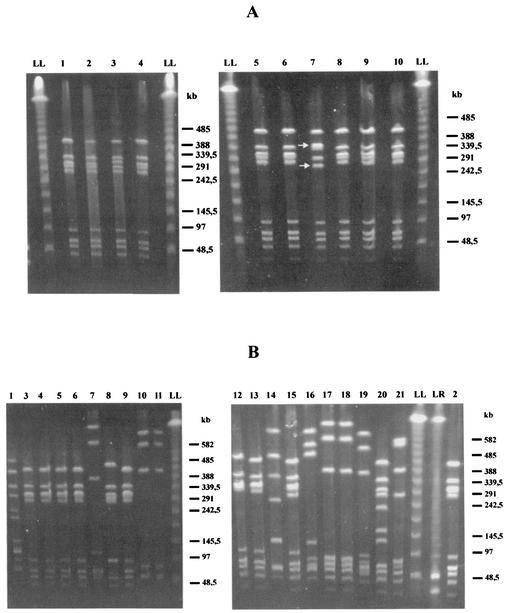 FIG. 1.