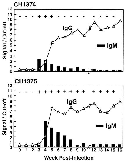 FIG. 1.