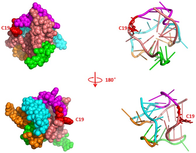 Figure 10