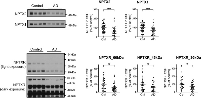 Figure 5—figure supplement 4.