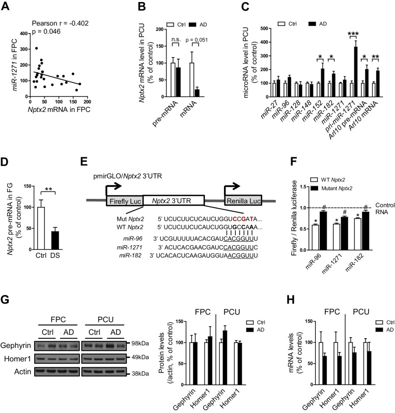 Figure 2—figure supplement 2.