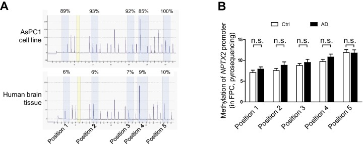 Figure 2—figure supplement 1.