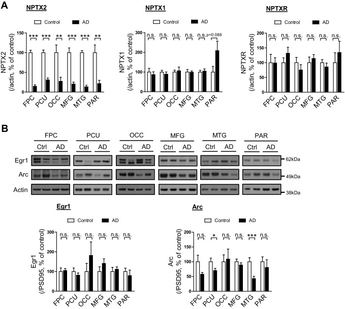 Figure 1—figure supplement 1.