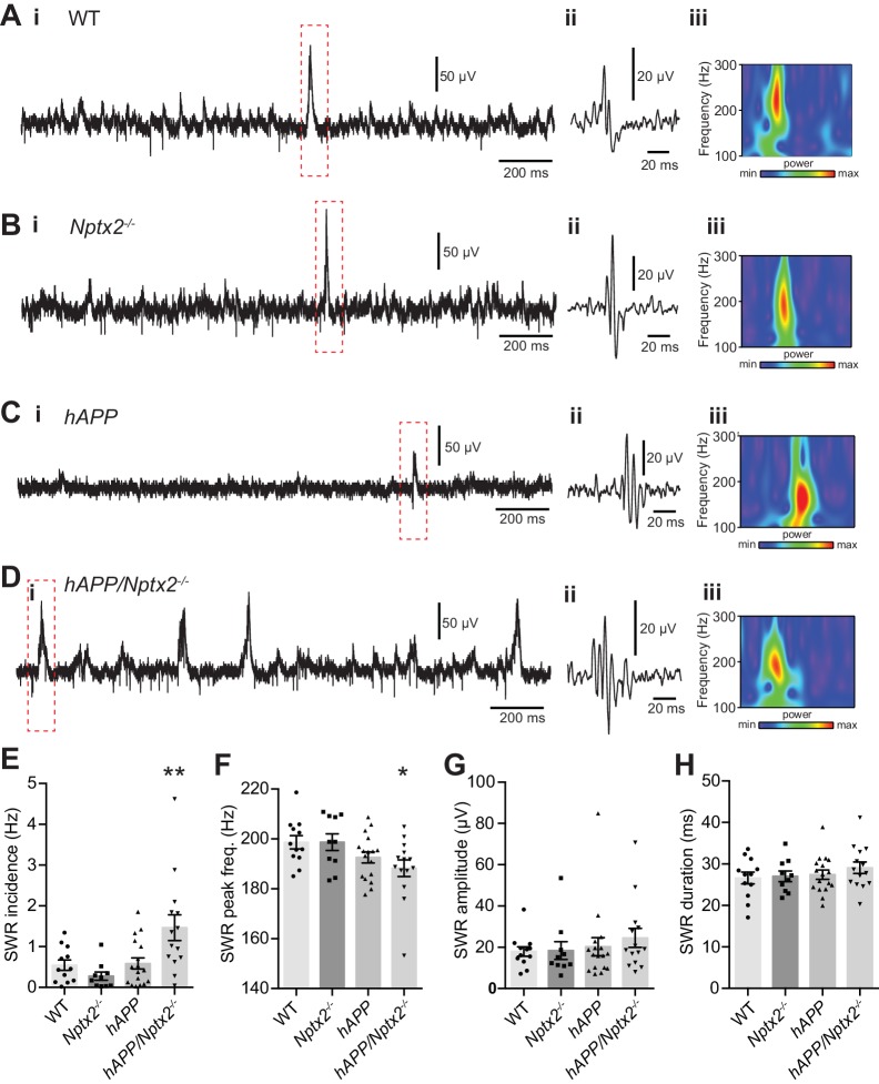 Figure 3—figure supplement 2.