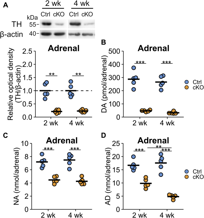 Figure 3