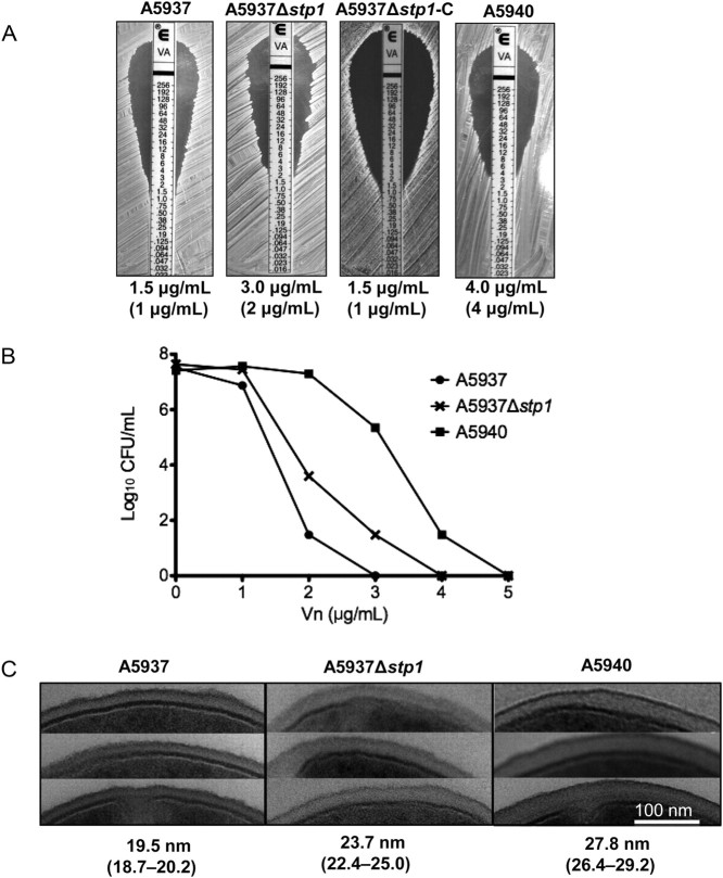 Figure 1.