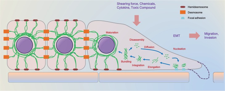 Fig. 3.