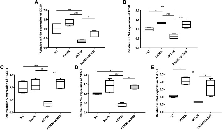 FIGURE 14