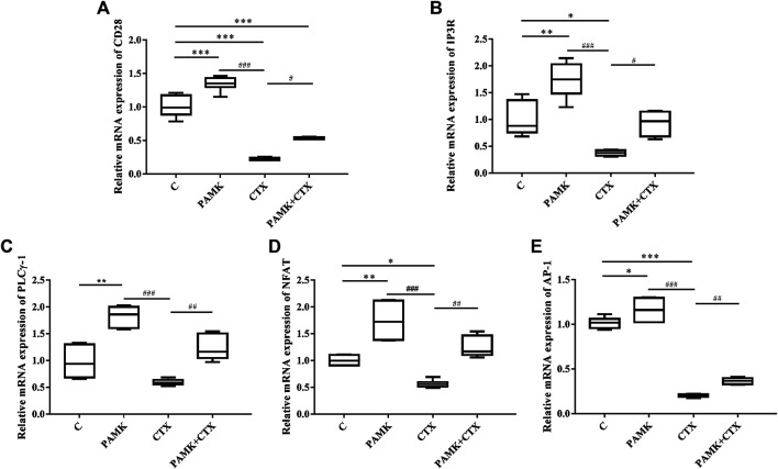 FIGURE 11