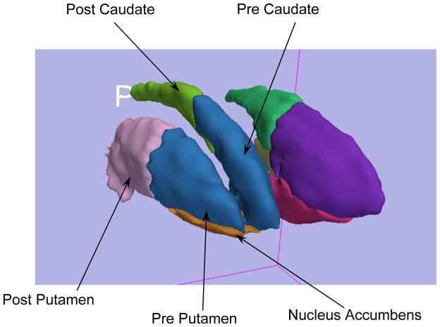 Fig. 8