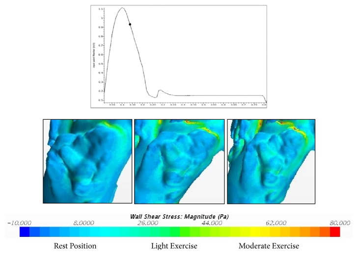 Figure 15