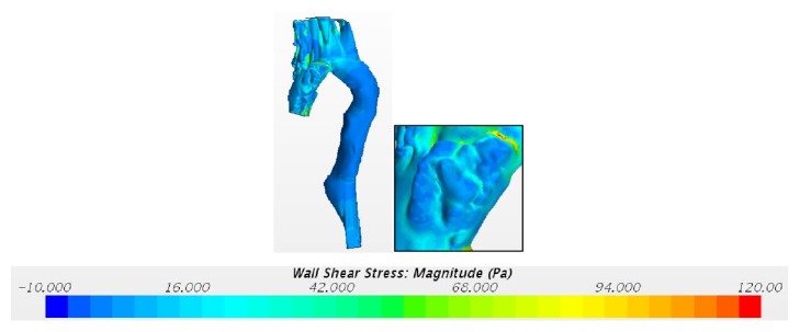 Figure 16